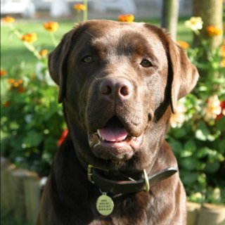 herverat's profile picture. 