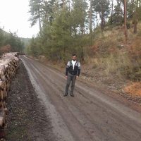 YUSUF ASLAN (@yusufas14119741) 's Twitter Profile