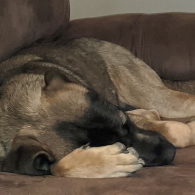 Vonkirmit's profile picture. 