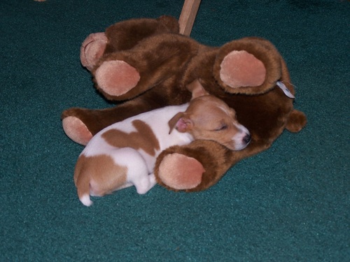 rhonsin's profile picture. 