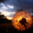 Gurdil999's profile image