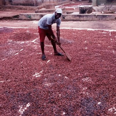 Agrictechno1's profile picture. Agricultural services and supply agency! Follow us on Facebook and Instagram @agrictechno