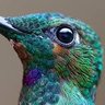 EmilCisse's profile picture. Painter! Native: 🇲🇽 Learning: 🇬🇧 Interested:🇫🇷🇩🇪🇳🇴 | 🏳️‍🌈🔥🎨🪬📚