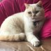 Debbietowle@HollinPrimary (@debbietowlehol1) Twitter profile photo Debbietowle@HollinPrimary (@debbietowlehol1) Twitter profile photo