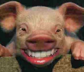 PiiiigPigPigPig's profile picture. 