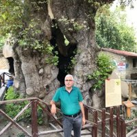 Turabi KURU (@turabikuru) 's Twitter Profile