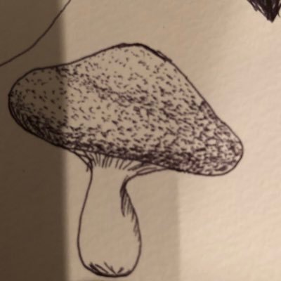 70vImoCVmlCAWYg's profile picture. 見つけた妖怪を記録することにしました 。優しく見守ってください。 好物はピーマンの肉詰めです 最近の悩みは皮膚の弱いことです。 Twitterよくわかりませんがよろしくお願いいたします