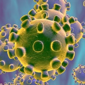 projecteweb2020's profile picture. Let's travel around the World!