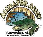 GatorAlleyFarm's profile picture. seasonal feedings/300+ gators/elevated boardwalk/natural cypress swamp/World Record Captain Crunch/even hold 1(That is if you make it out of the swamp alive!)
