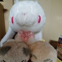 杉tom(J9グリホン) (@tom7593301) 's Twitter Profile