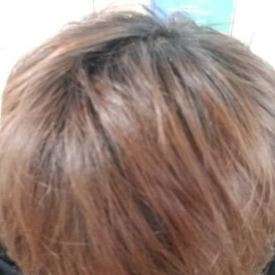 デトロイトタイガース好きの日本人
favorite ⚾team 🇯🇵Lions 🇺🇸Tigers