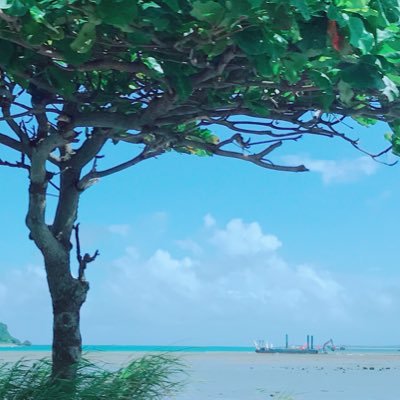 5Wd2r7ByZQ7jotW's profile picture. 