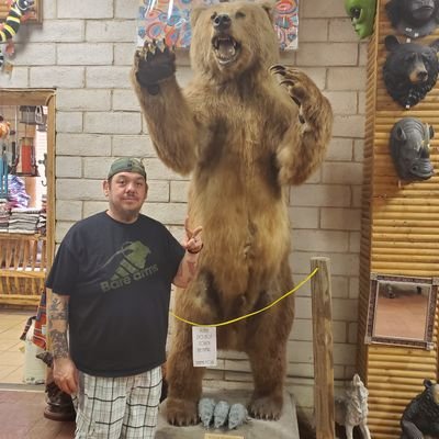 Teeno01836276's profile picture. what's up foo!!!! Chicago Bears fan till I die!!!