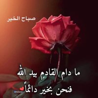 Fowz 🌺 (@fowz15hotmailc1) Twitter profile photo