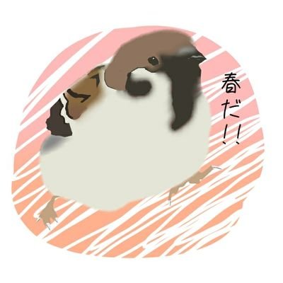 シェミさんのプロフィール画像