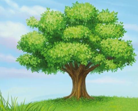 webmatters1's profile picture. i will follow back anyone who follows me