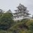 棚瀬 義丸のアイコン
