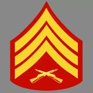 Marine, machinist, father, husband , retired. debates are not my thing, just voicing my opinion. I watch multiple news feeds divide by that number for truth