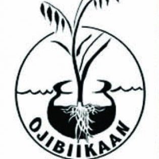 Ojibiiikaan Indigenous Cultural Network is an Indigenous-led nonprofit offering land, food and culture based programming in Toronto and the surrounding region.