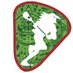 México Lacrosse (@mexicolacrosse) Twitter profile photo