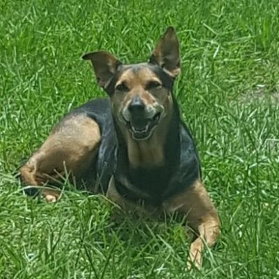 toggysacos's profile picture. nothing to see here