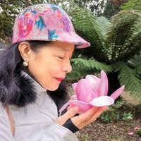 CindyLiu (@cindyliudublin) 's Twitter Profile