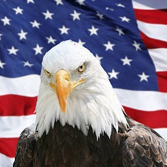 chances2020's profile picture. 
