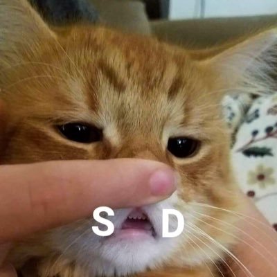 itsjessrenee's profile picture. Trust in yourself and the world is yours