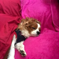 monco (@moncooooo) 's Twitter Profile
