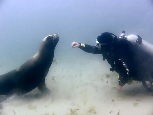 Castortorres's profile picture. 