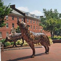NCState TRIO Collegiate Programs (@ncstate_triosss) 's Twitter Profile