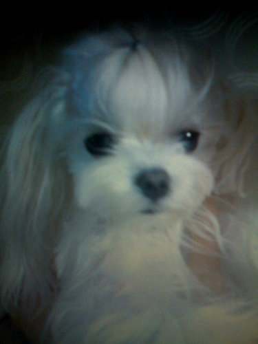 eyp83's profile picture. 