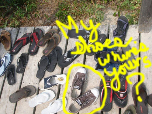 baysidediver's profile picture. 