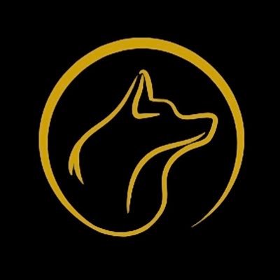 ChasingFRDM's profile picture. Helping people invest, who want the FRDM to live life on their own terms. Keep chasing FRDM. 🐺
