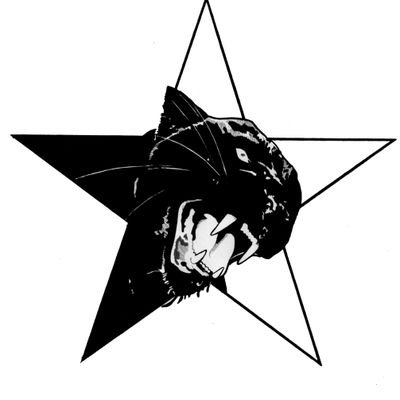 PrisonUpm's profile picture. The Prison Committee of the United Panther Movement, the mass organization of the NABPP.

Panther Love