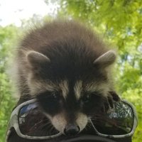 Leanne D (@leebugaboo) 's Twitter Profile