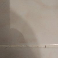R3ktGame (@r3ktgame) 's Twitter Profile