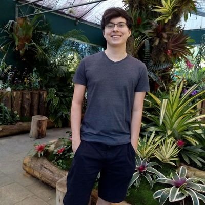 RomuloAmaral11's profile picture. 