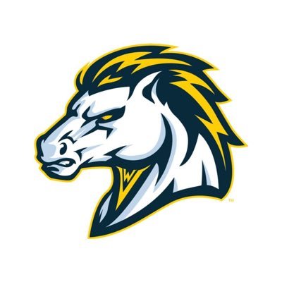 wvhscounseling's profile picture. Serving the greatest students and parents at the best high school in the land.