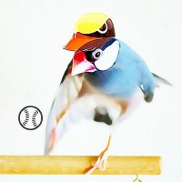 コトリノ・古書店 (@kotoristudio) 's Twitter Profile