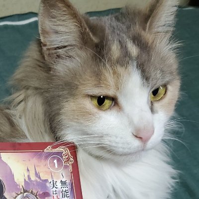 羽田遼亮 著者累計100万部 最強賢者の子育て日記 うちの娘が世界一かわいい件について T Co Pzsbsa6x6c 小説家になろうにて連載中の上記作品ですが 書籍化が決定しました これも皆様の応援のおかげです これからも作者ともどもよろしく