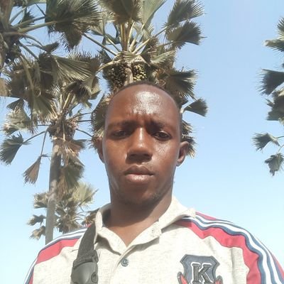 Amadou54496516's profile picture. amadou