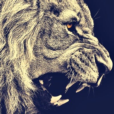 tree_chef's profile picture. Stay Focus!!! Love is the key !!!