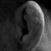 McMahillCauliflowerEar (@mc_cauli_ear) Twitter profile photo McMahillCauliflowerEar (@mc_cauli_ear) Twitter profile photo