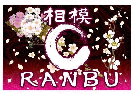 相模原よさこいRANBU!オフィシャルチームです♪ 笑顔一杯の賑やかなよさこいを踊ってます(^^)v