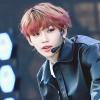nainai (@strayapplestay) 's Twitter Profile