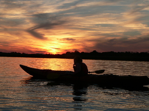 Custom private kayak tours and boat charters. Our passion is exploring the backyard water wilderness of the lowcountry and sharing those experiences!