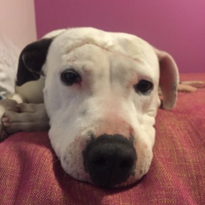 b_avalos's profile picture. 