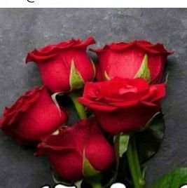 Seshath14776093's profile picture. 