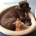 Grady Willingham - @GradyWillingha1 - Twitter